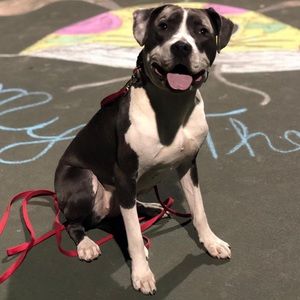 Meet your Posher, Johnny